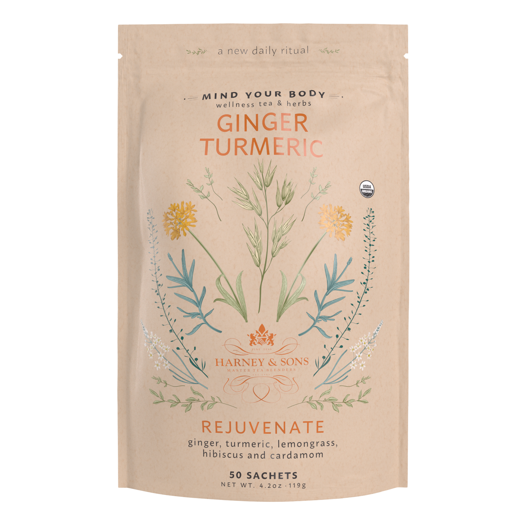 Ginger Turmeric BIO (Gingembre & Curcuma)