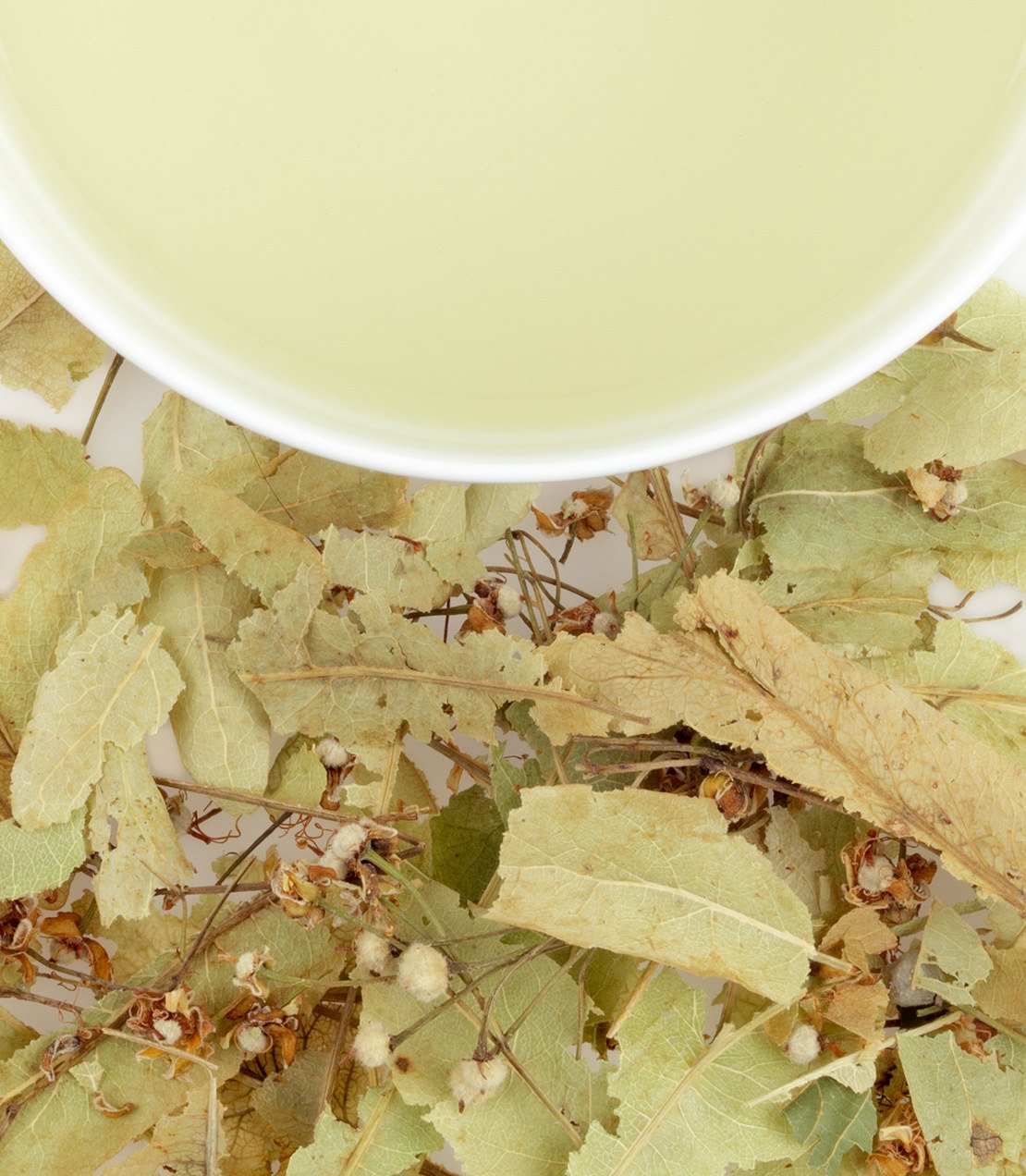 Tilleul (Linden Leaves) - - Harney & Sons Fine Teas
